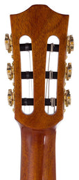 hollow body electric nylon guitar, spruce top, mahogany body, amara ebony fb, nat + hard shell case