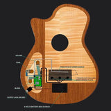 hollow body electric nylon guitar, spruce top, mahogany body, amara ebony fb, nat + hard shell case