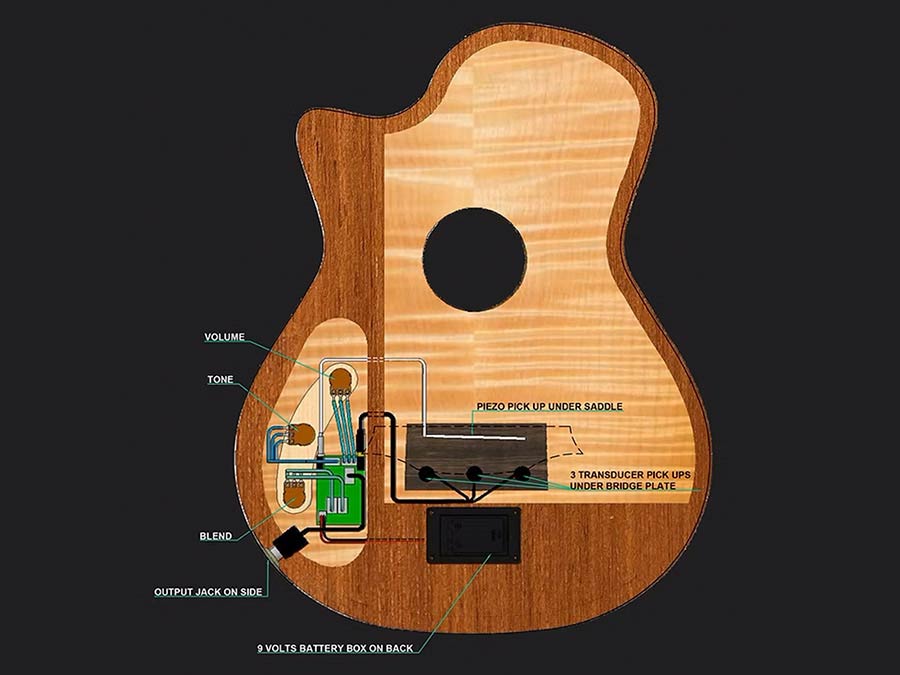 hollow body electric nylon guitar, spruce top, mahogany body, amara ebony fb, nat + hard shell case
