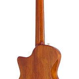 hollow body electric nylon guitar, spruce top, mahogany body, amara ebony fb, nat + hard shell case
