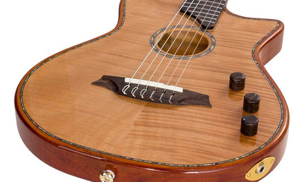 hollow body electric nylon guitar, spruce top, mahogany body, amara ebony fb, nat + hard shell case