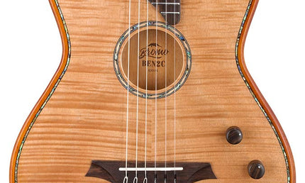 hollow body electric nylon guitar, spruce top, mahogany body, amara ebony fb, nat + hard shell case