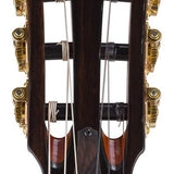 hollow body electric nylon guitar, spruce top, mahogany body, amara ebony fb, tbk + hard shell case