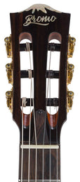 hollow body electric nylon guitar, spruce top, mahogany body, amara ebony fb, tbk + hard shell case