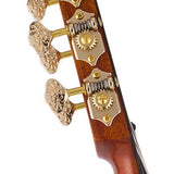 hollow body electric nylon guitar, spruce top, mahogany body, amara ebony fb, tbk + hard shell case