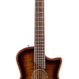 hollow body electric nylon guitar, spruce top, mahogany body, amara ebony fb, 3ts + hard shell case