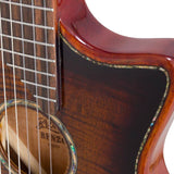 hollow body electric nylon guitar, spruce top, mahogany body, amara ebony fb, 3ts + hard shell case