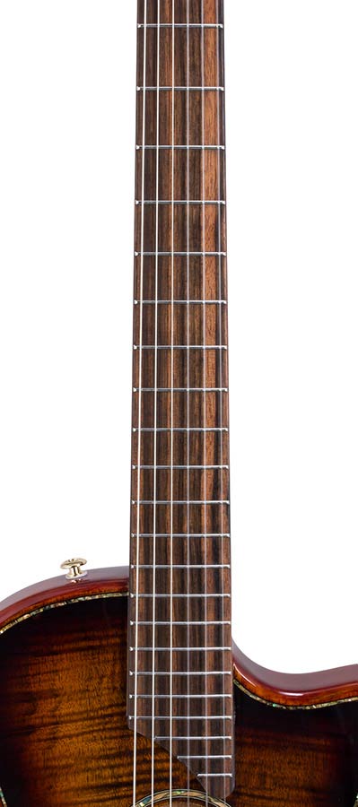 hollow body electric nylon guitar, spruce top, mahogany body, amara ebony fb, 3ts + hard shell case
