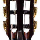 hollow body electric nylon guitar, spruce top, mahogany body, amara ebony fb, 3ts + hard shell case