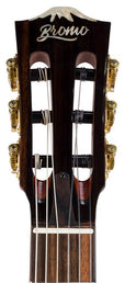 hollow body electric nylon guitar, spruce top, mahogany body, amara ebony fb, 3ts + hard shell case