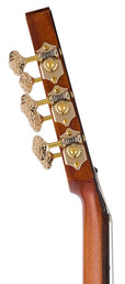 hollow body electric nylon guitar, spruce top, mahogany body, amara ebony fb, 3ts + hard shell case