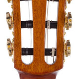 hollow body electric nylon guitar, spruce top, mahogany body, amara ebony fb, 3ts + hard shell case