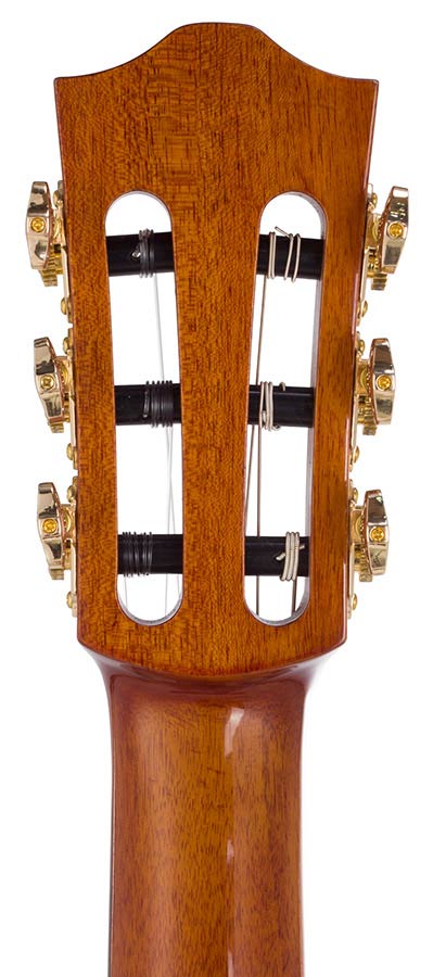 hollow body electric nylon guitar, spruce top, mahogany body, amara ebony fb, 3ts + hard shell case