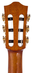 hollow body electric nylon guitar, spruce top, mahogany body, amara ebony fb, 3ts + hard shell case