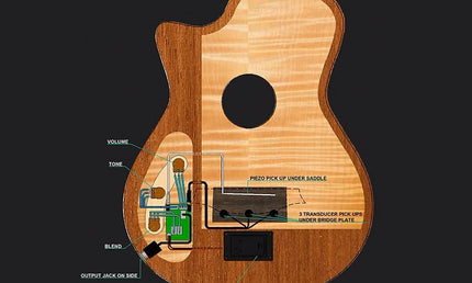 hollow body electric nylon guitar, spruce top, mahogany body, amara ebony fb, 3ts + hard shell case
