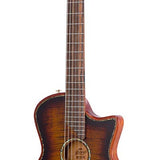 hollow body electric nylon guitar, spruce top, mahogany body, amara ebony fb, 3ts + hard shell case