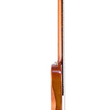 hollow body electric nylon guitar, spruce top, mahogany body, amara ebony fb, 3ts + hard shell case