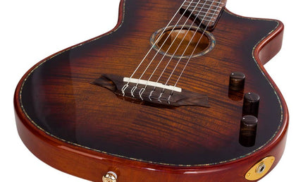 hollow body electric nylon guitar, spruce top, mahogany body, amara ebony fb, 3ts + hard shell case