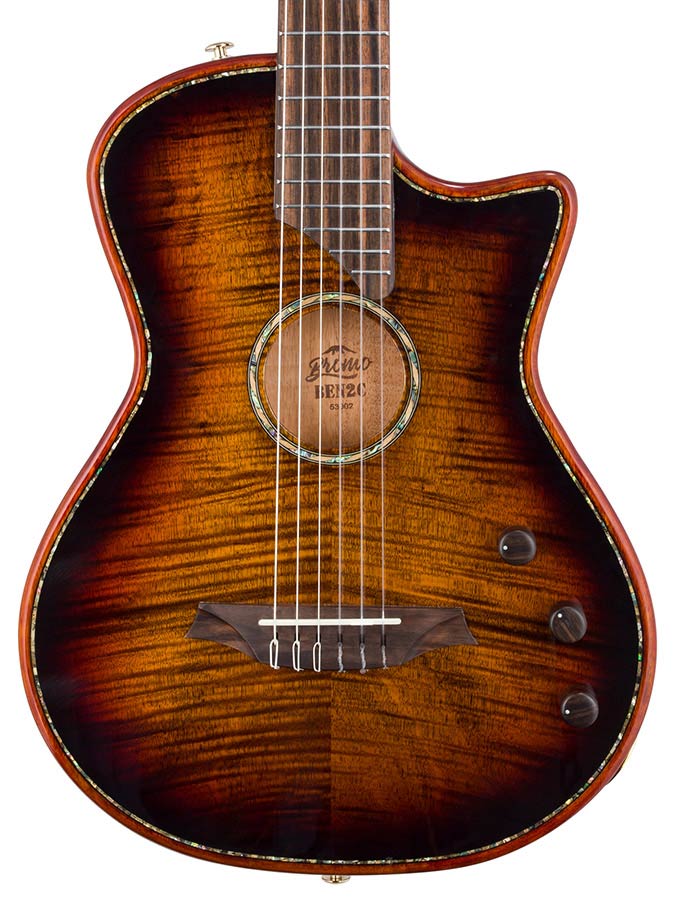 hollow body electric nylon guitar, spruce top, mahogany body, amara ebony fb, 3ts + hard shell case