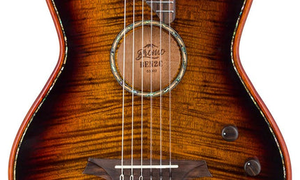 hollow body electric nylon guitar, spruce top, mahogany body, amara ebony fb, 3ts + hard shell case