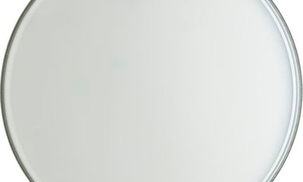 Remo - BA-0312-PR - 12" Ambassador Pre-International Clear Tom head