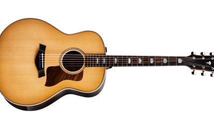 Taylor 818 E