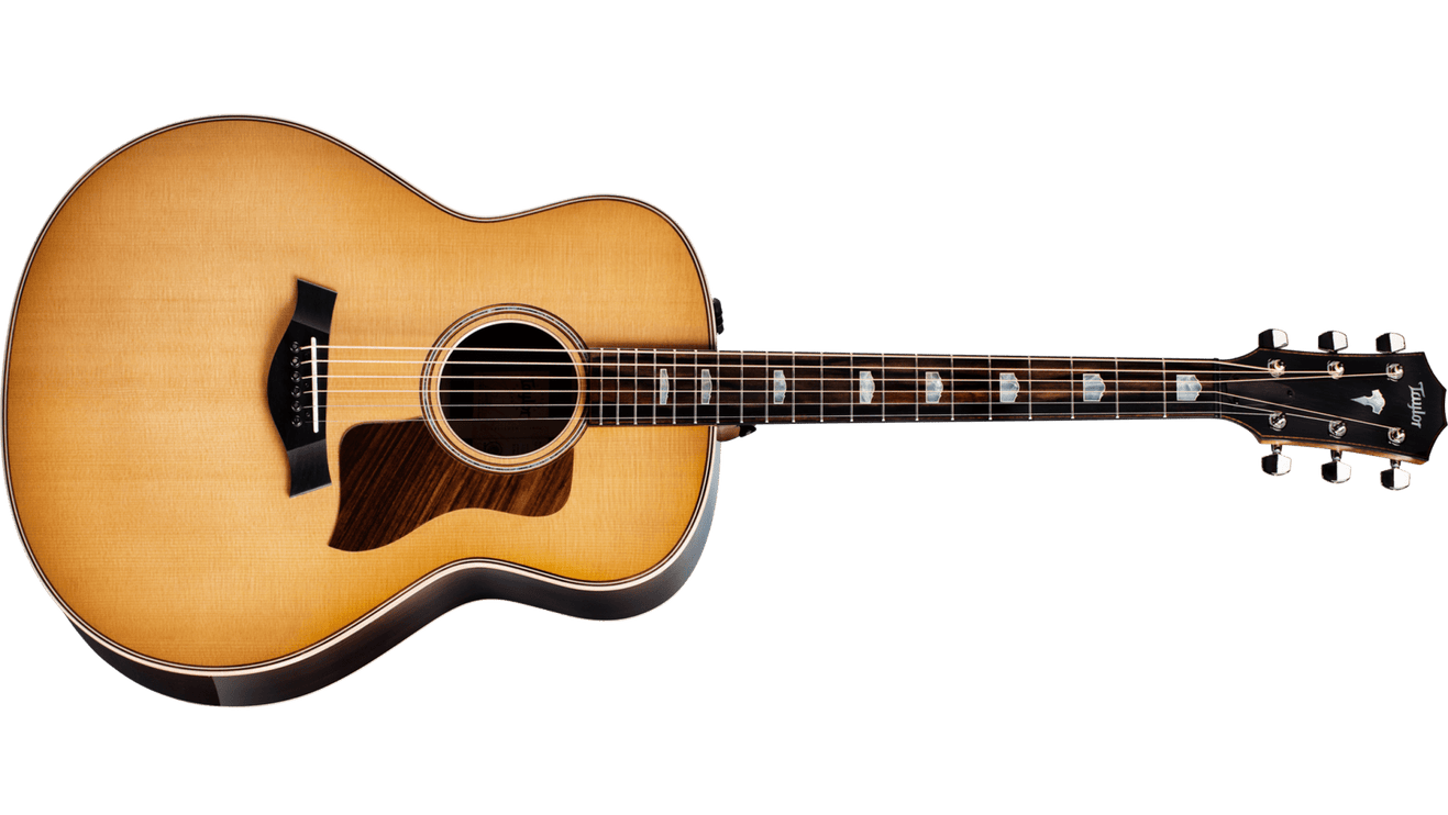 Taylor 818 E