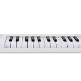 Arturia - 231511 - 25-Key Ultra Compact Midi Keyboard In White