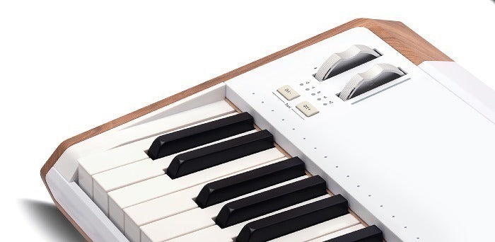 Arturia - Arastrolab - 61-Key Stage Keyboard