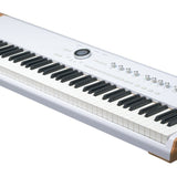 Arturia - 230711 - 88-Keys Performance Keyboard for Stage and Studio
