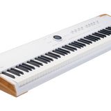 Arturia - 230711 - 88-Keys Performance Keyboard for Stage and Studio