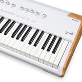 Arturia - 230711 - 88-Keys Performance Keyboard for Stage and Studio