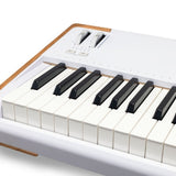 Arturia - 230711 - 88-Keys Performance Keyboard for Stage and Studio