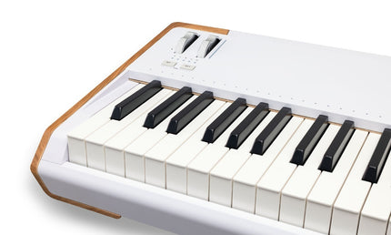 Arturia - 230711 - 88-Keys Performance Keyboard for Stage and Studio