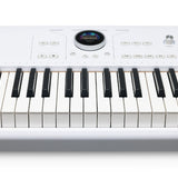 Arturia - 230711 - 88-Keys Performance Keyboard for Stage and Studio