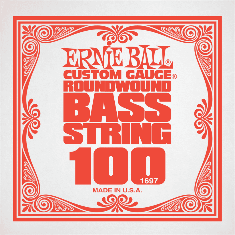Ernie Ball Slinky Nickel Wound Bass Basgitaarsnaar Nickel Wound 100