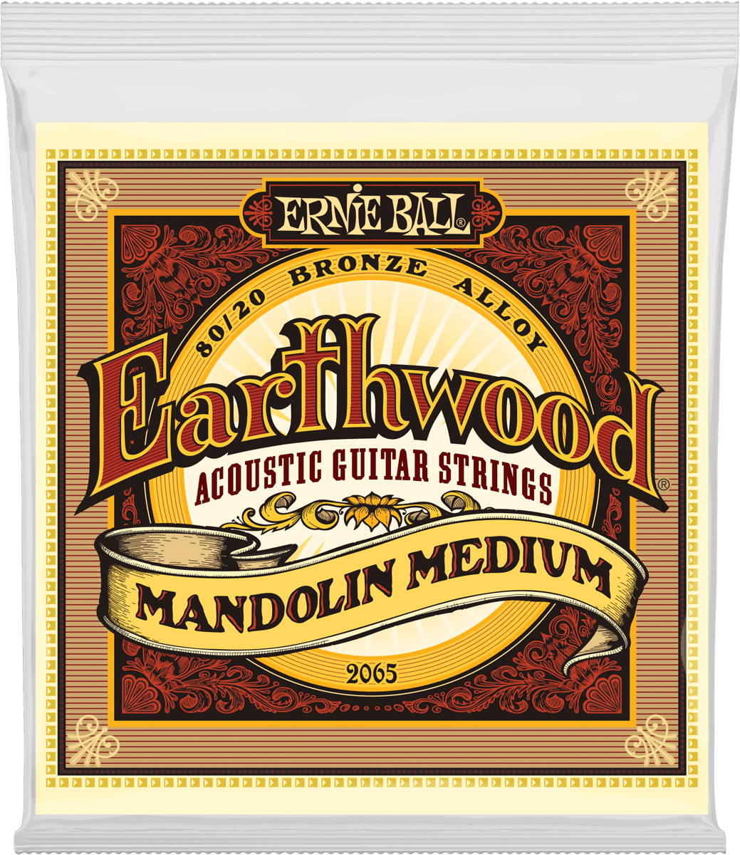 Ernie Ball Mandoline medium loop-end !10-14-24w-36