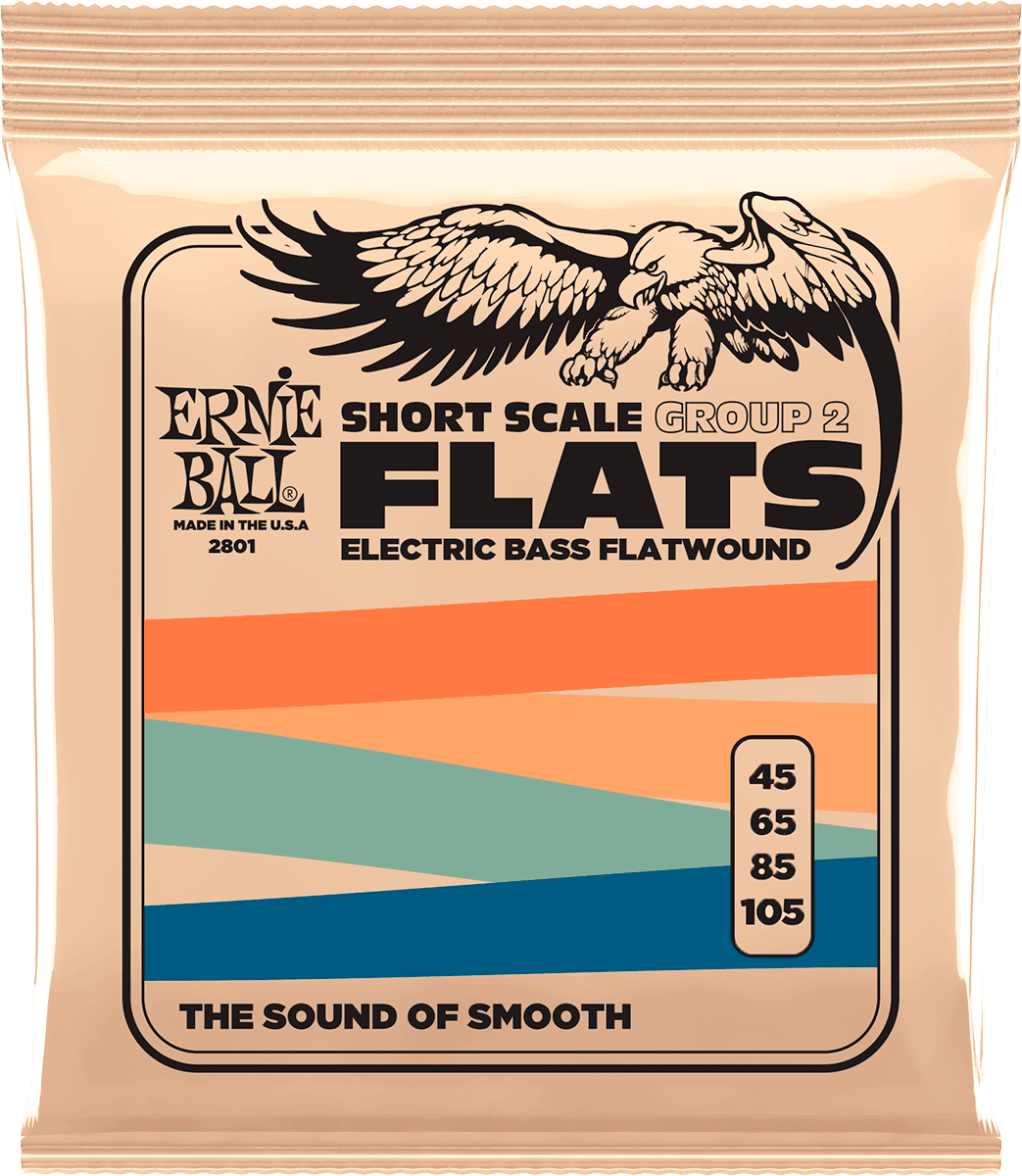 Ernie Ball Slinky Flats Bass Basgitaarsnaren Flatwound Basse Short Scale Groupe 2 45-105