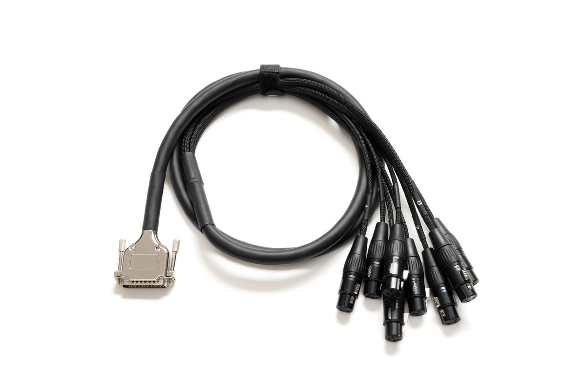 Warm Audio Premier DB25-XLRf-20'