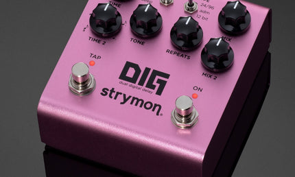 Strymon - STRDIG - Dual Digital Delay with Retro Rack Voicings