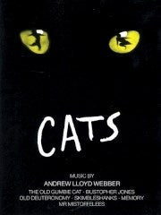 Cats Selection afbeelding 2