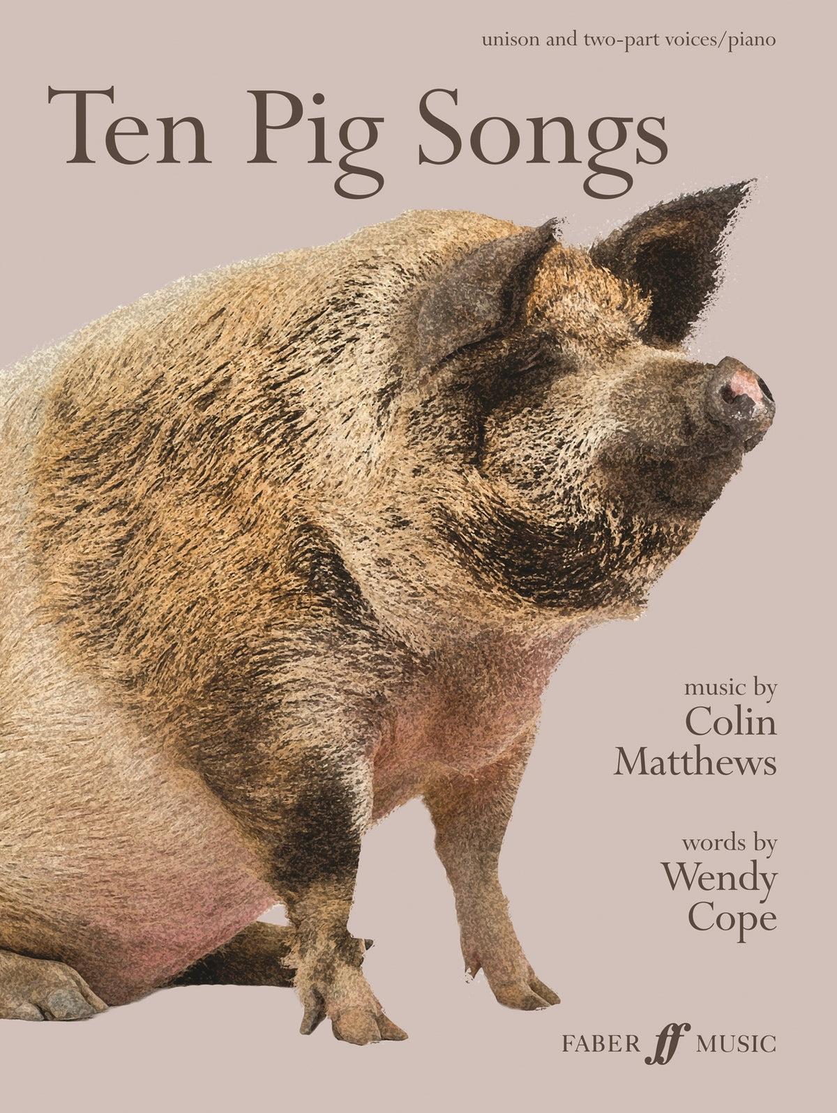 Ten Pig Songs afbeelding 2
