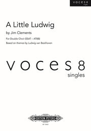 A Little Ludwig