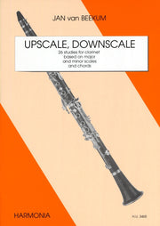 Jan van Beekum: Upscale Downscale