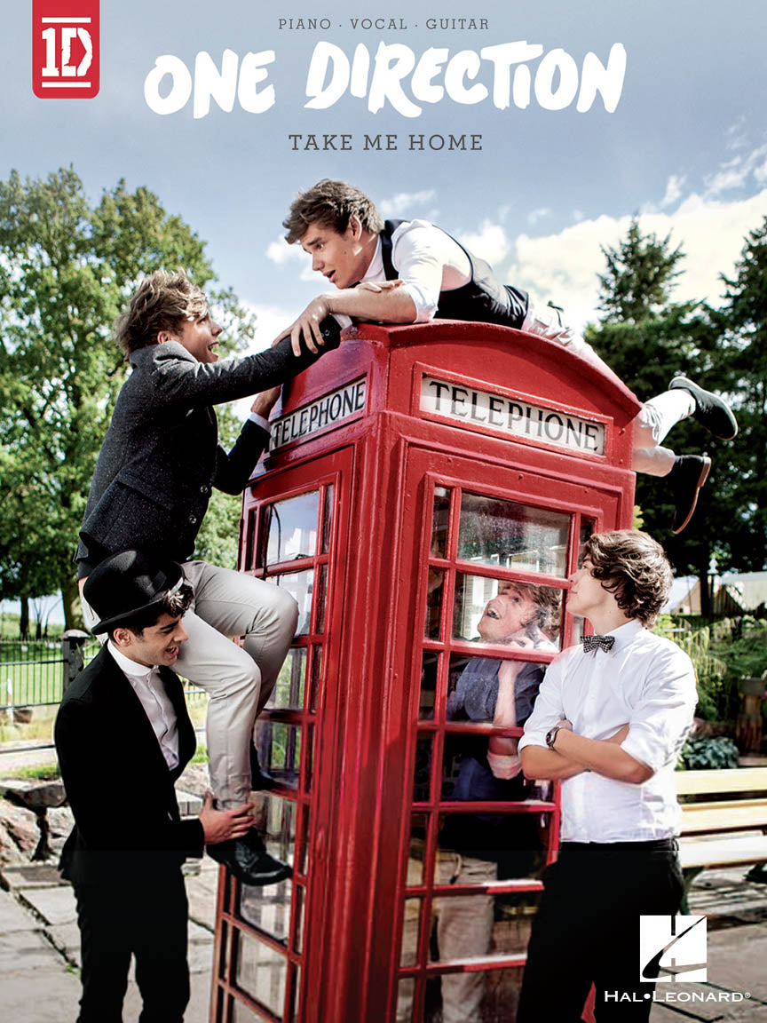 One Direction - Take Me Home | Piano, zang en gitaar