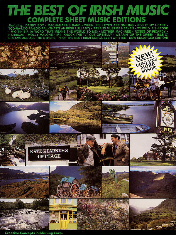 The Best of Irish Music | Piano, zang en gitaar