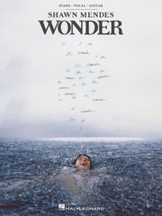 Shawn Mendes-Wonder | Piano, zang en gitaar