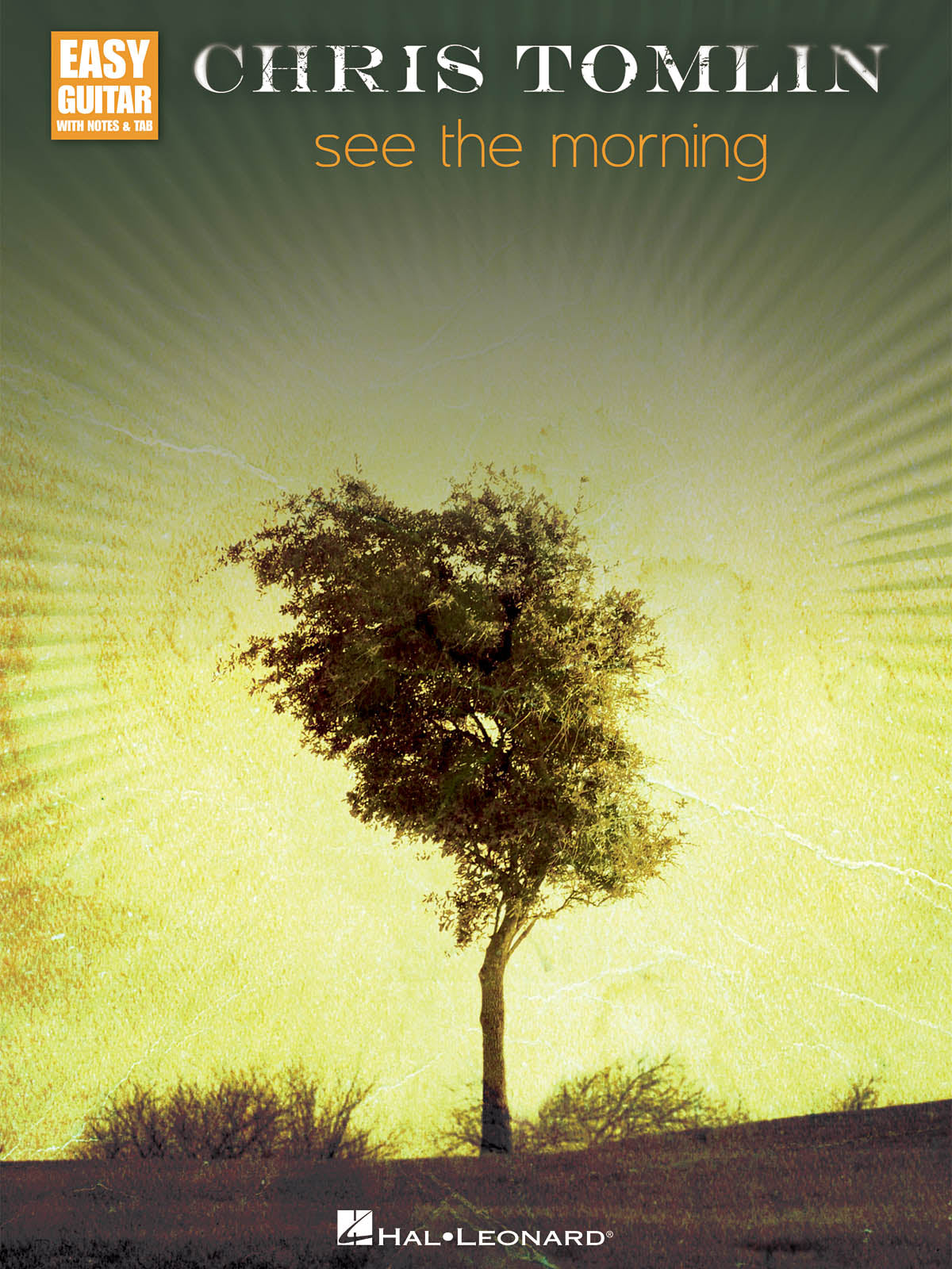 Chris Tomlin: See the Morning | Gitaar