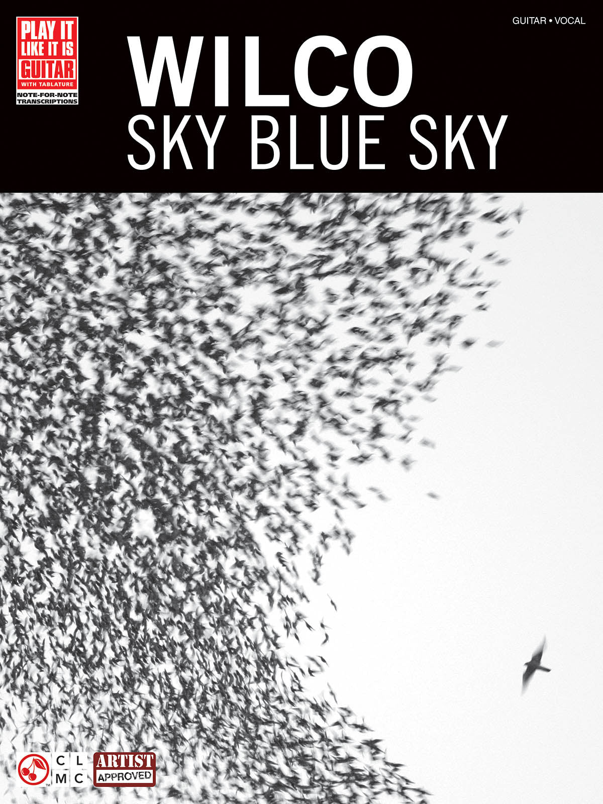 Wilco - Sky Blue Sky | Gitaar