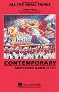 All The Small Things | Marching Band
